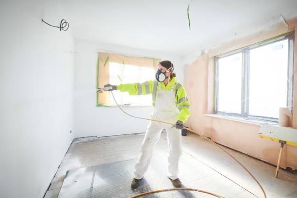 Mold Remediation for Vacation Homes in Talpa, NM