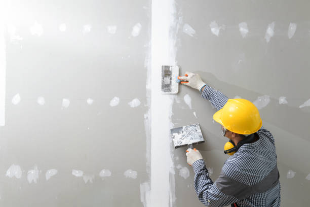 Biohazard Mold Removal in Talpa, NM