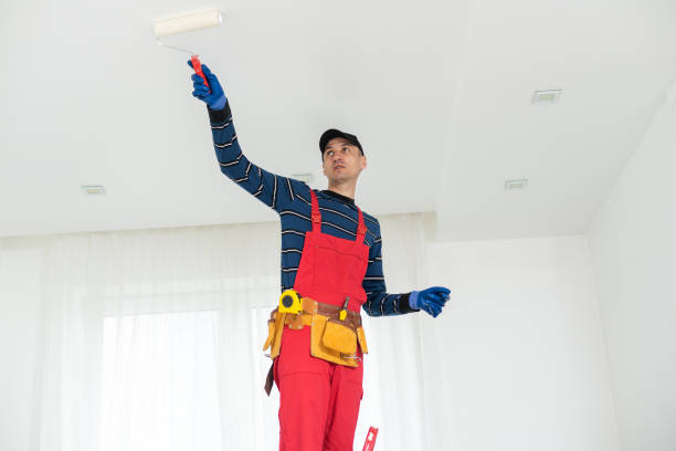 Dehumidification Services in Talpa, NM