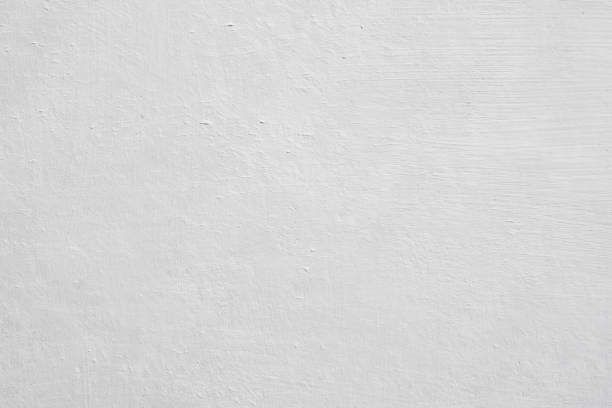 Mold Odor Removal Services in Talpa, NM