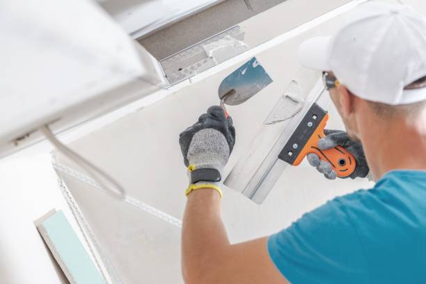 Trusted Talpa, NM Mold Removal Experts